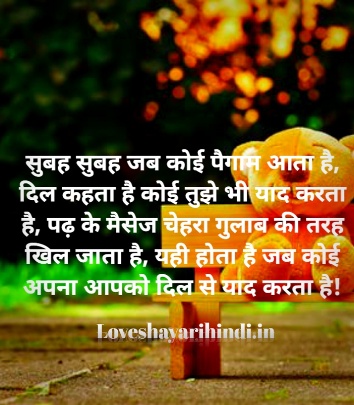 best love shayari quotes in hindi
