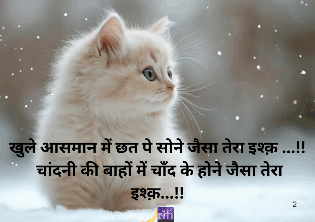 Cuteness Shayari in Hindi